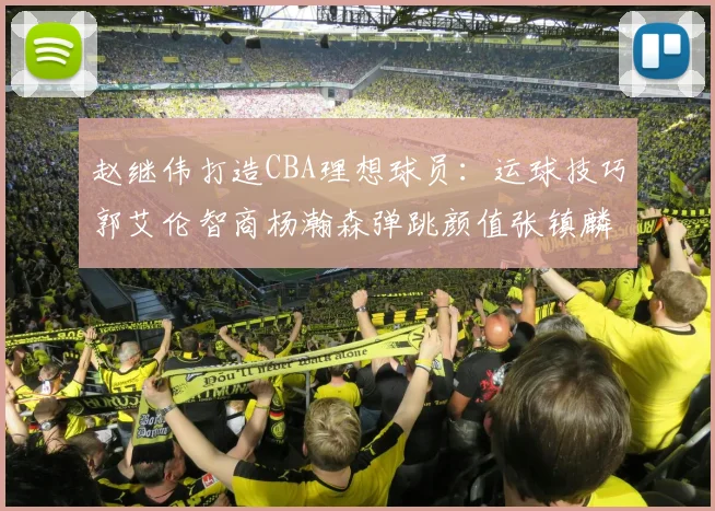 赵继伟打造CBA理想球员：运球技巧郭艾伦智商杨瀚森弹跳颜值张镇麟完美结合